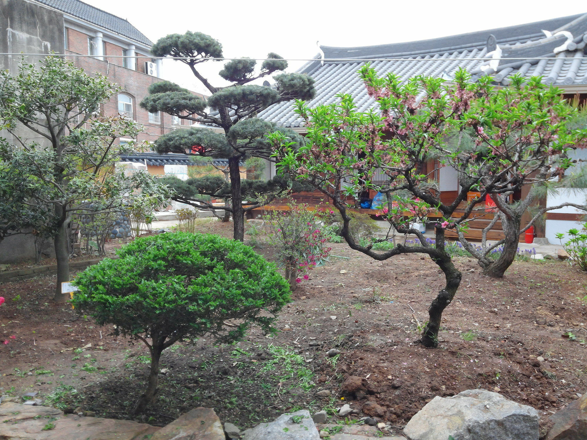 Sodamwon Jeonju Dış mekan fotoğraf