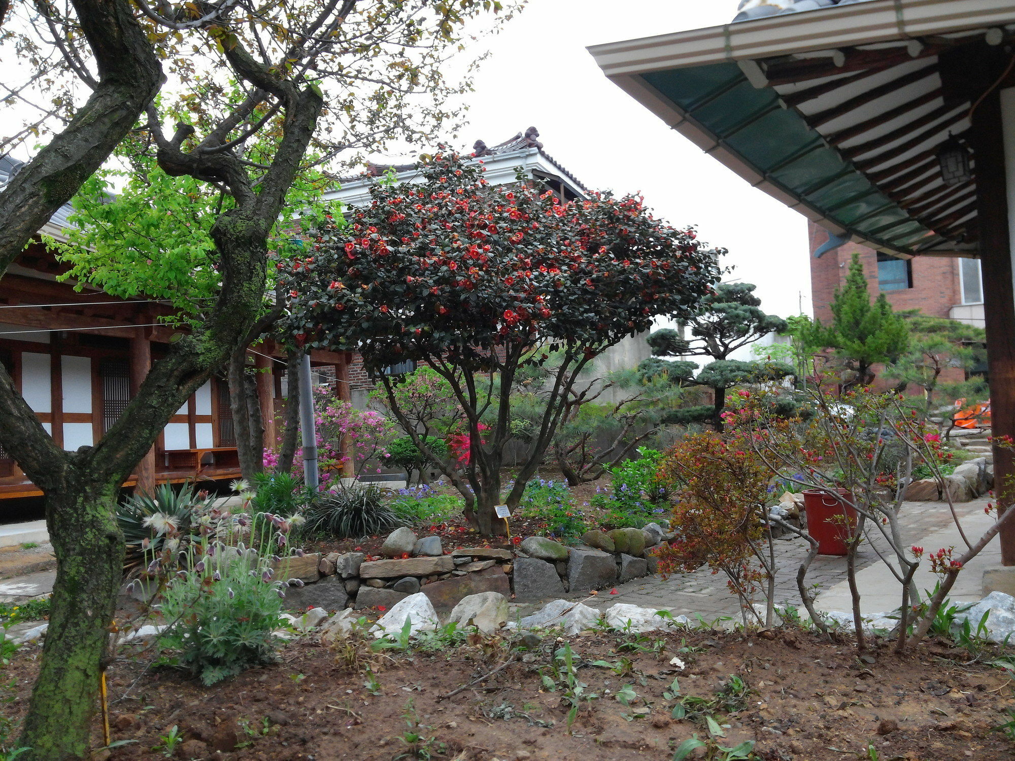 Sodamwon Jeonju Dış mekan fotoğraf