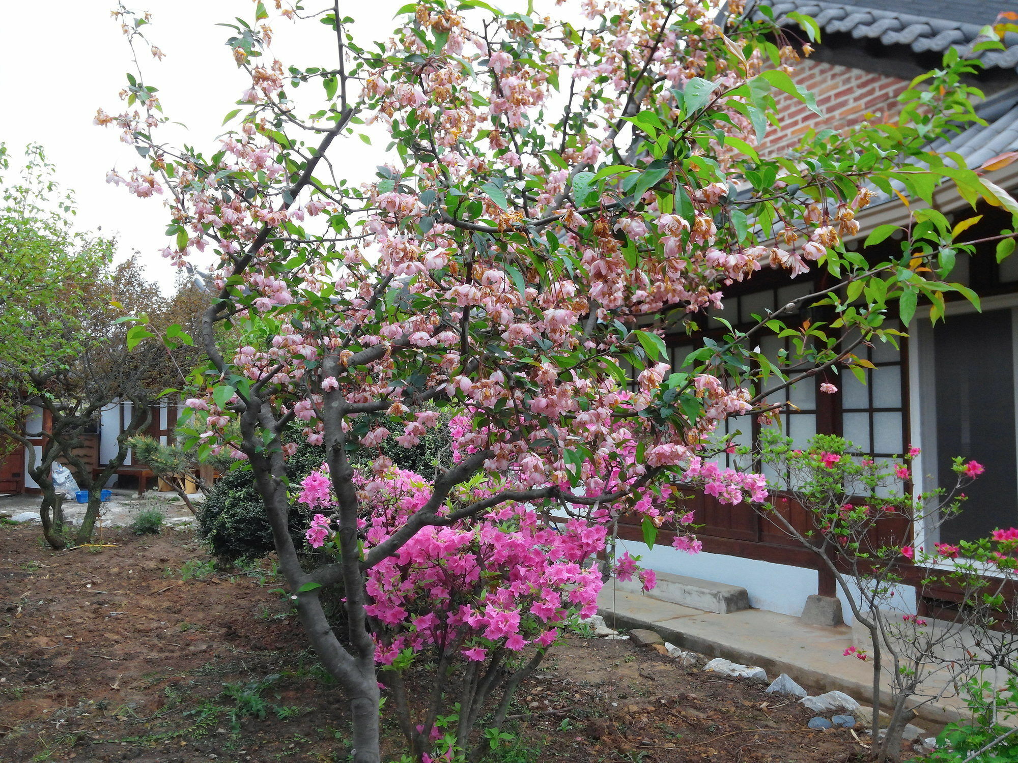Sodamwon Jeonju Dış mekan fotoğraf