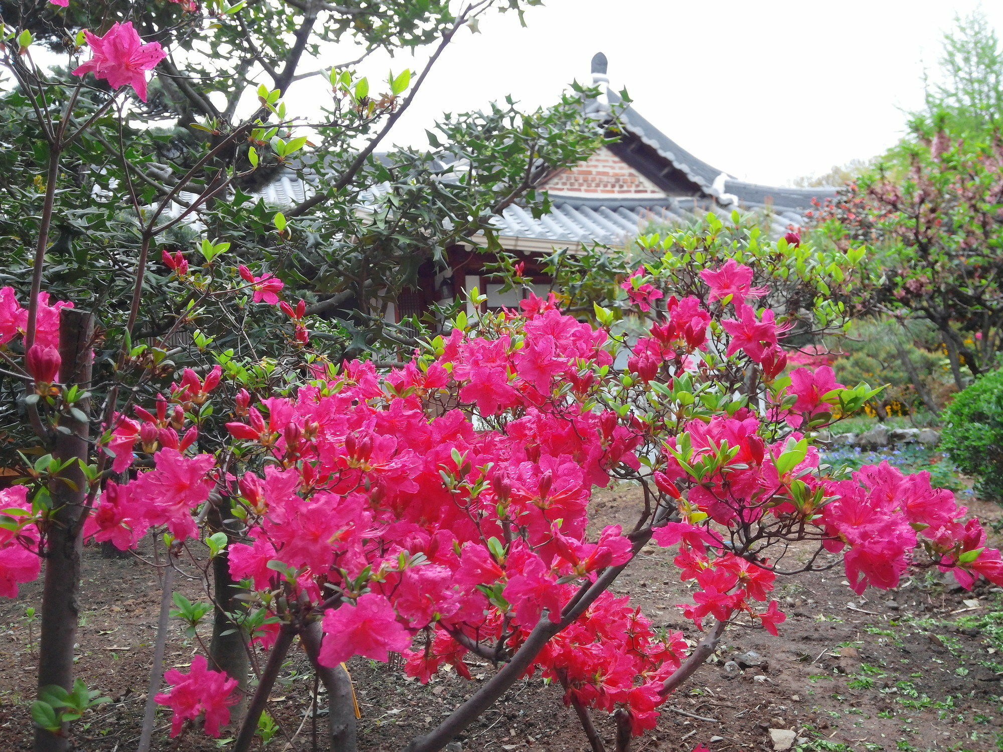 Sodamwon Jeonju Dış mekan fotoğraf